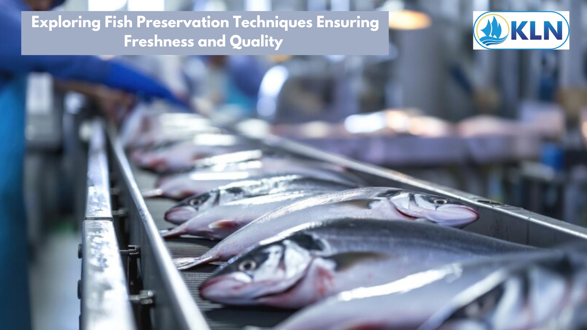 Exploring Fish Preservation Techniques: Ensuring Freshness and Quality